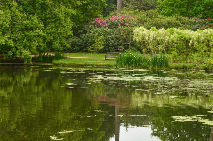 Exbury Gardens