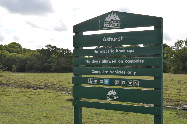 Campsites in the clearance new forest with electric