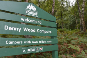 denny wood campsite and caravan park