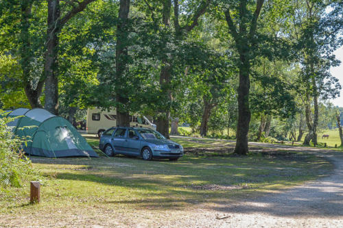 hollands wood campsite