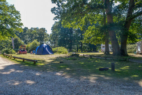 hollands wood campsite camping in the forest
