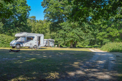 hollands wood campsite new forest