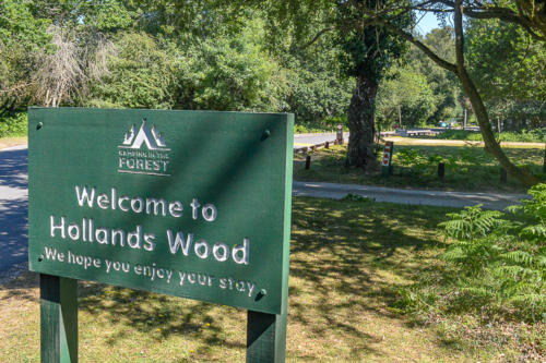 hollands wood campsite and caravan park