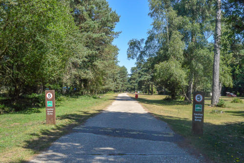 roundhill campsite new forest hampshire