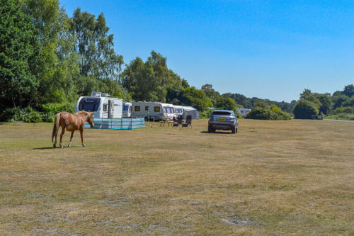 new forest roundhill campsite 