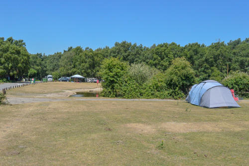 roundhill campsite camping in the forest