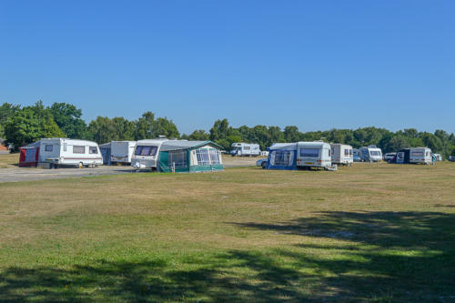 holmsley campsite and caravan park camping in the forest