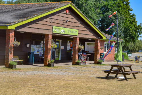 holmsley campsite bransgore hampshire