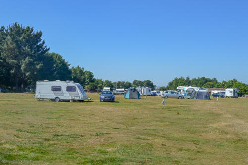 holmsley campsite