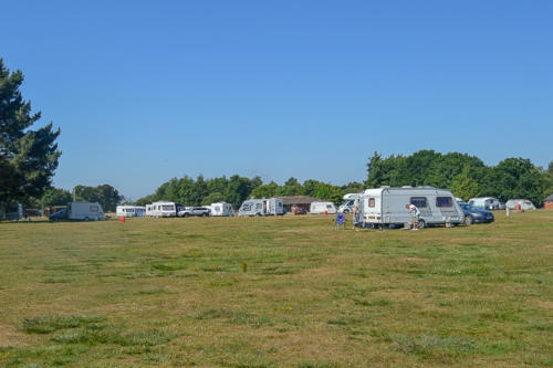 holmsley campsite new forest