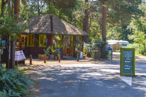 setthorns campsite new forest hampshire