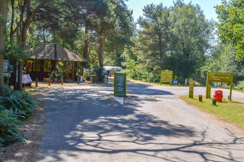 setthorns campsite near sway