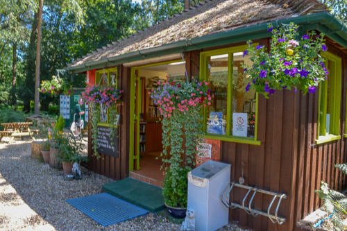 setthorns campsite and caravan park new forest hampshire