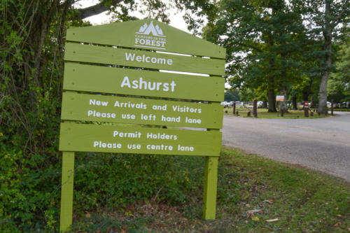 ashurst camspite and caravan park new forest