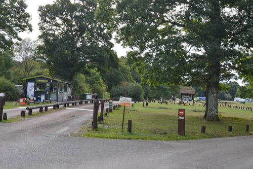 ashurst campsite lyndhurst