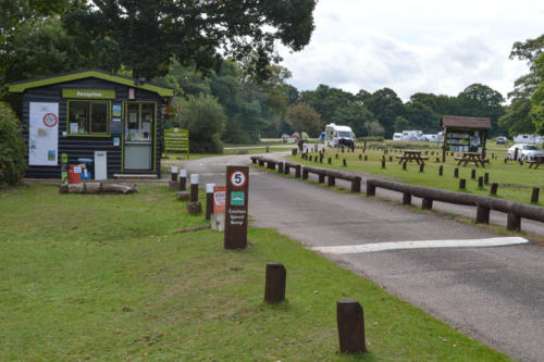 ashurst campsite