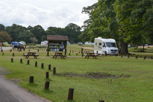 ashurst campsite and caravan park hampshire