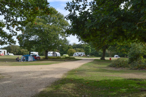 ashurst campsite new forest